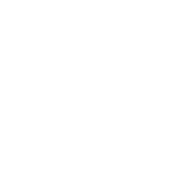 Action Plan for Rebuilding Ireland